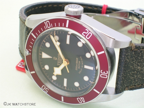 TUDOR 79220R BLACK BAY 2013 021_bee9ef.JPG