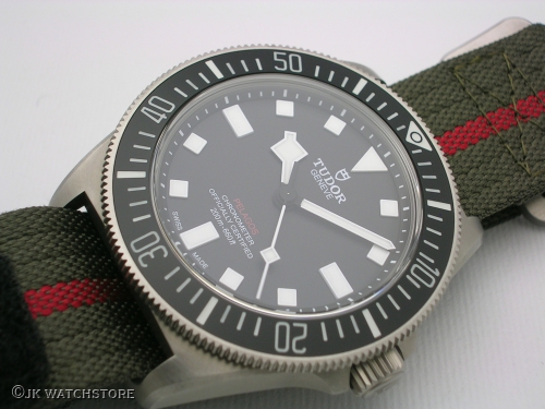 TUDOR PELAGOS FXD 25717N 2023 DSCN4591_54938c.JPG