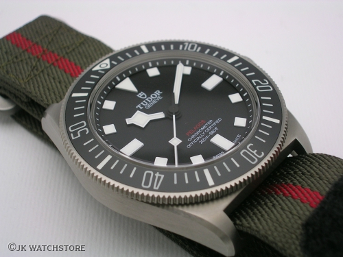 TUDOR PELAGOS FXD 25717N 2023 DSCN4593_5c5df1.JPG