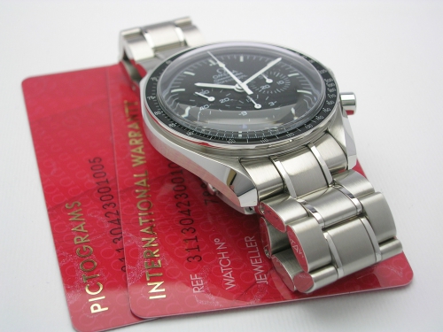 OMEGA SPEEDMASTER 31130.42300.1005  2018 DSCN9345_11e159.JPG