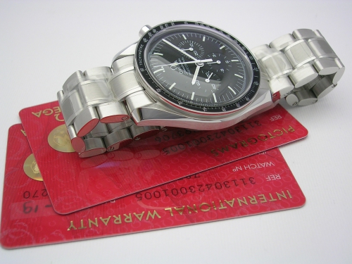 OMEGA SPEEDMASTER 31130.42300.1005  2019 DSCN9418_fc11f9.JPG