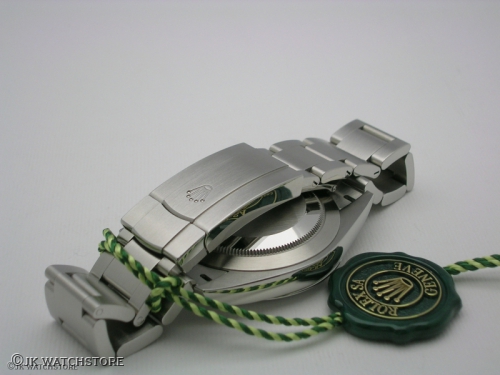 ROLEX OYSTER-PERPETUAL 41MM 124300 BLUE DIAL 2024 opp5_e8595b.JPG